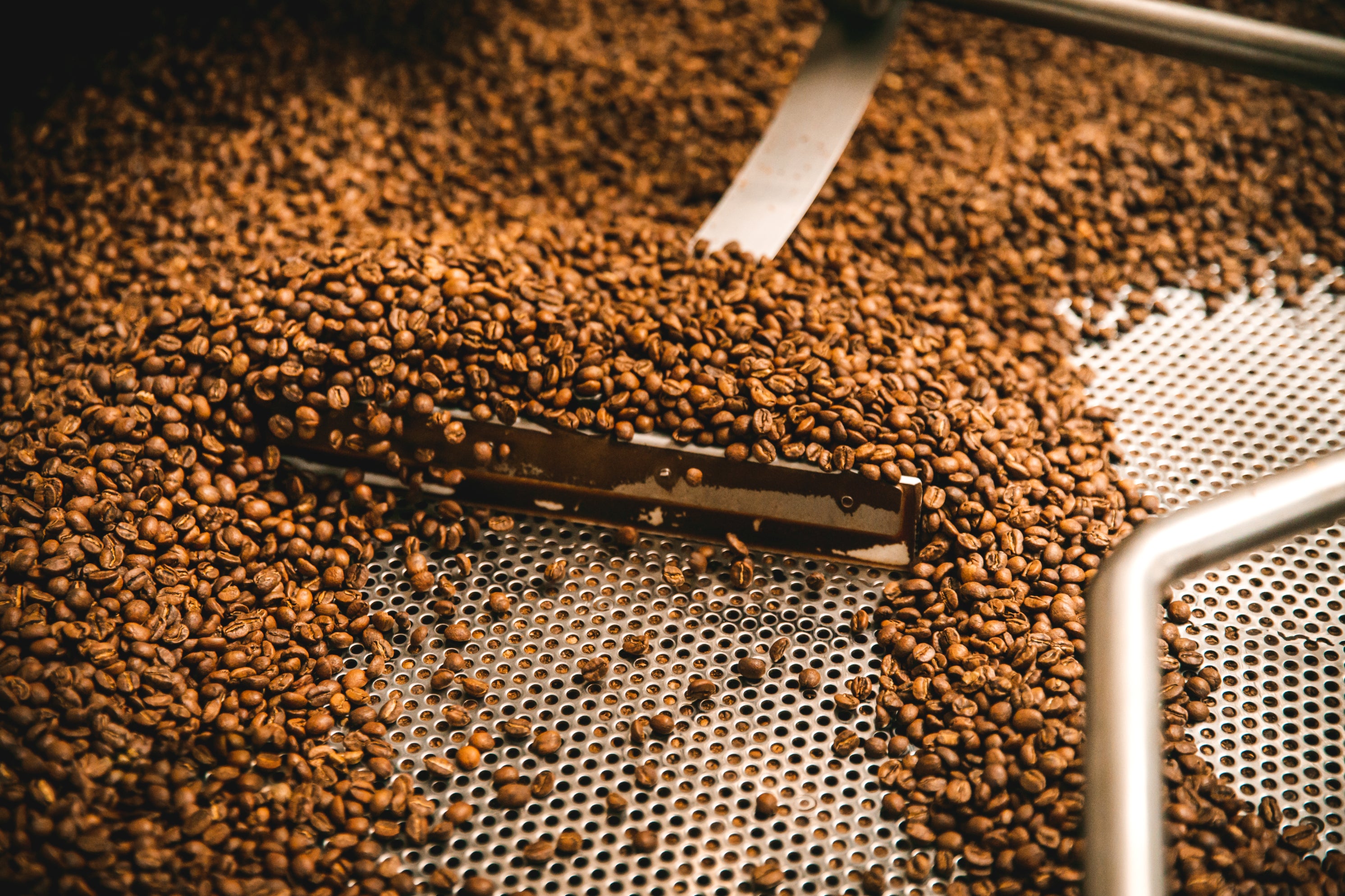 Jak v Coffee Source hodnotíme a pražíme kávu