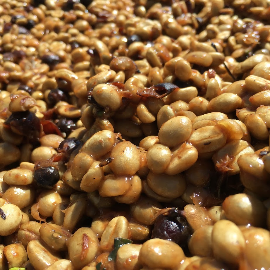 Metody zpracování kávy I. - honey