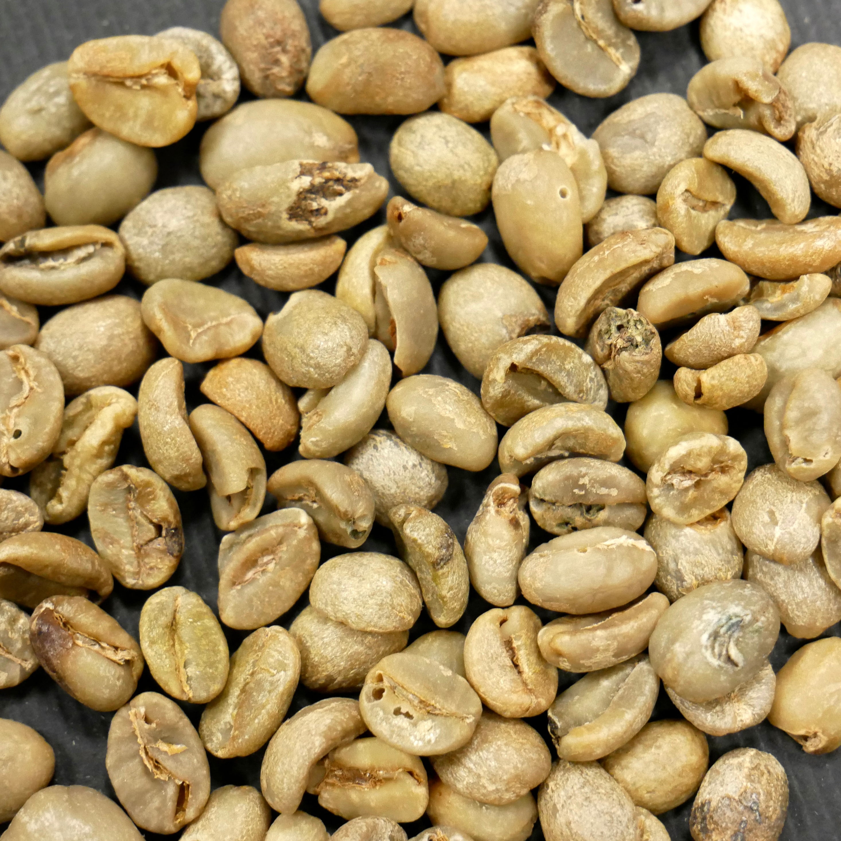 Defekty kávových zrn