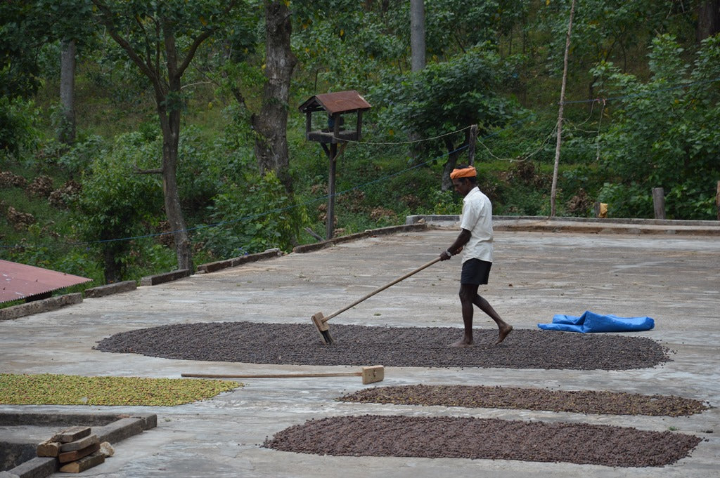 Vodní aktivita v kávě