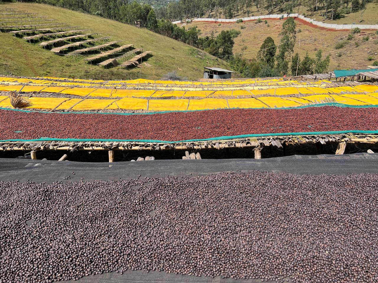 Ethiopia Bombe