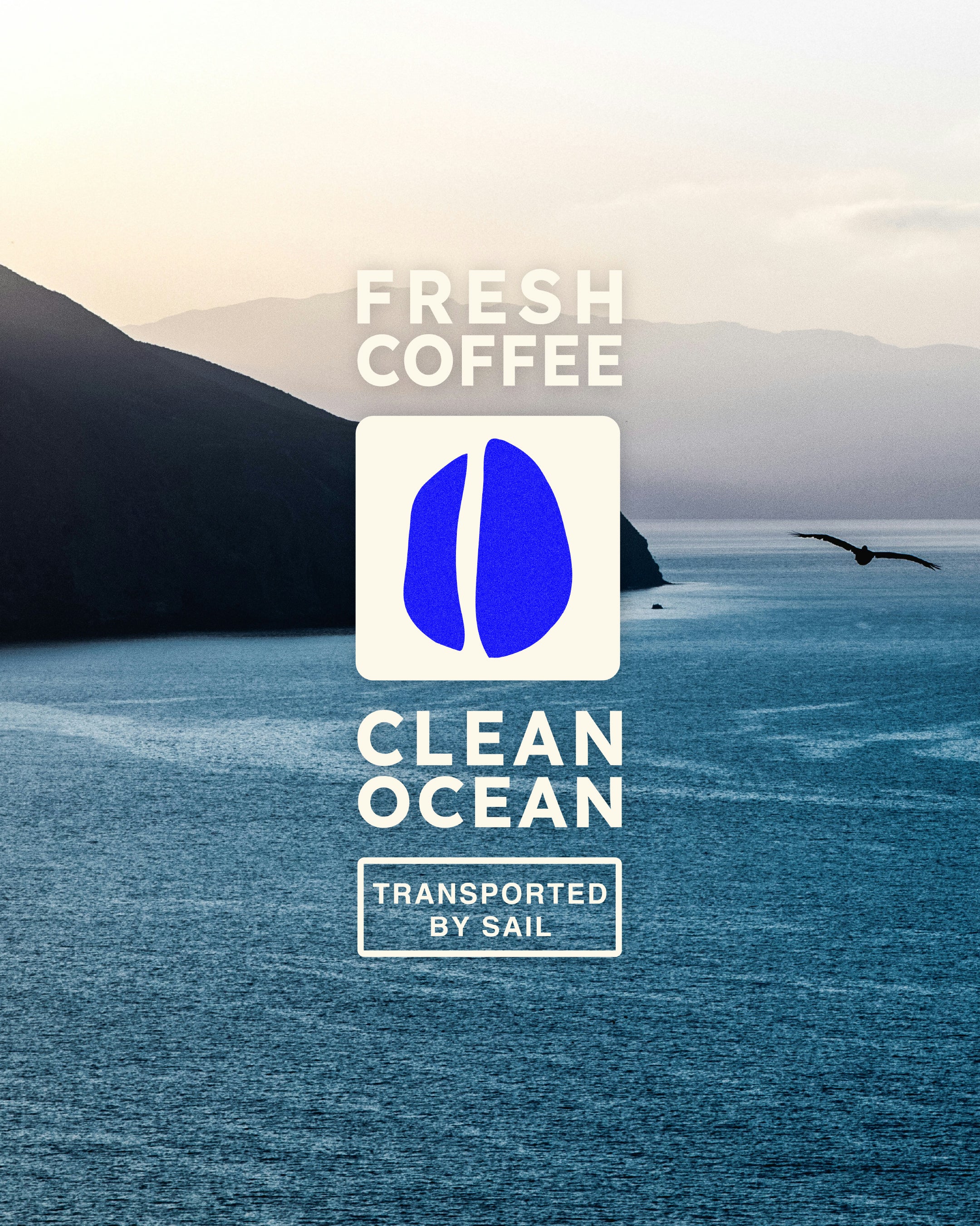 Plachetnicová Colombia Tolima Planadas Washed Espresso