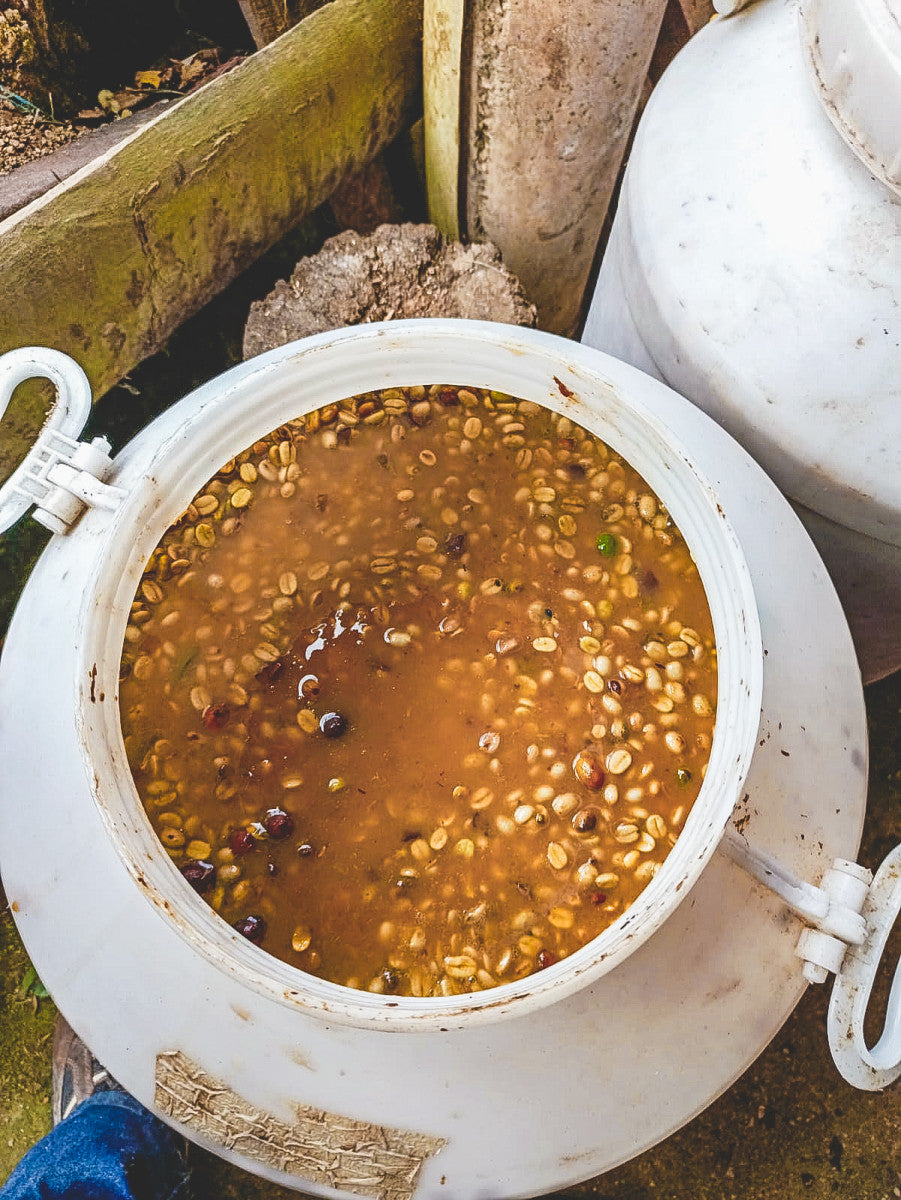 Colombia Jairo Arcila