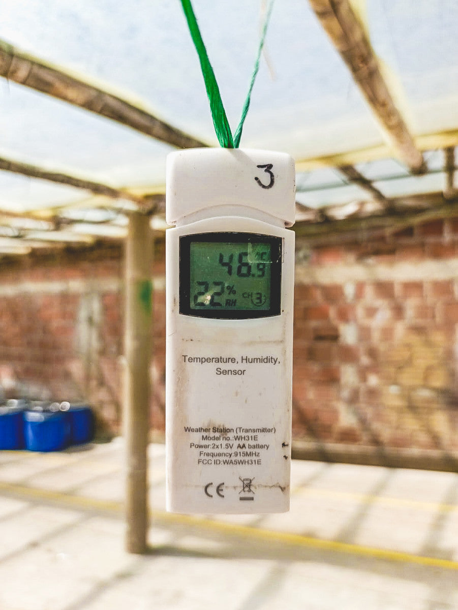 Colombia Jairo Arcila