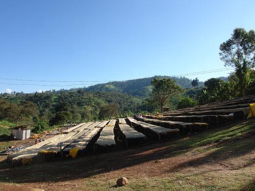 Ethiopia Suke Quto natural