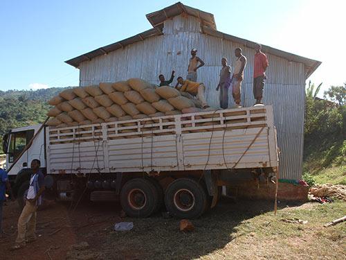 Ethiopia Suke Quto washed