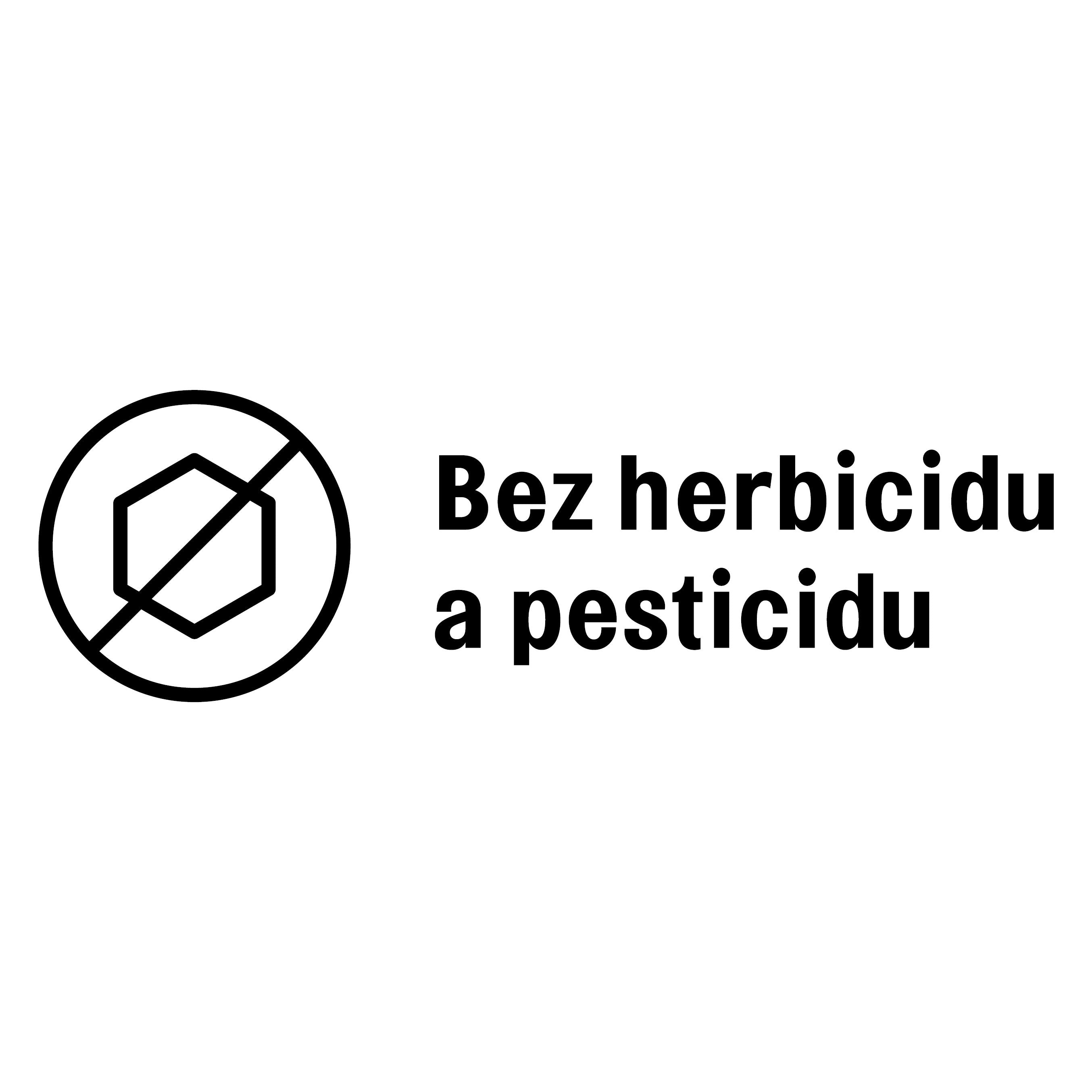 Ethiopia Suke Quto washed