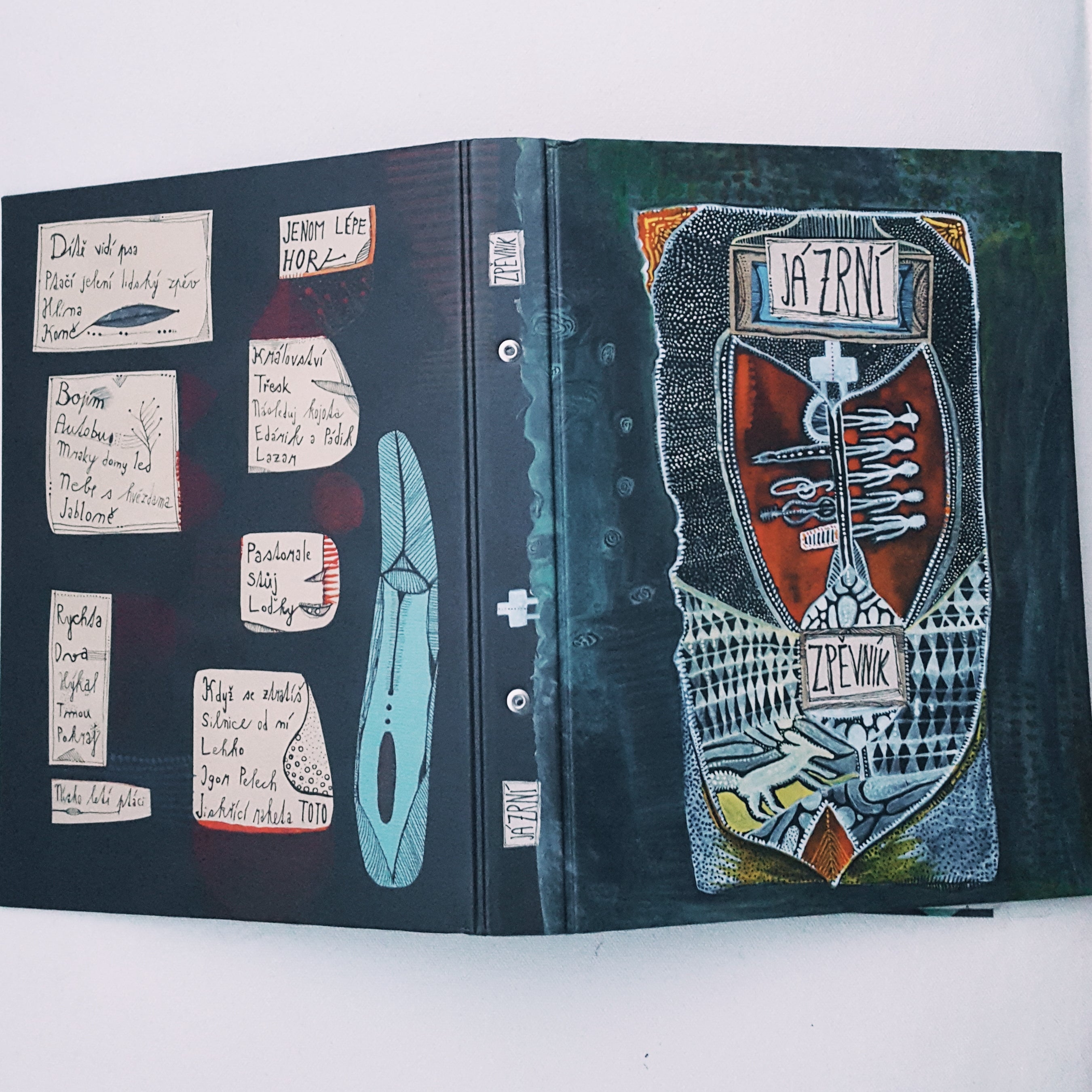 illustrated songbook of the band Zrní