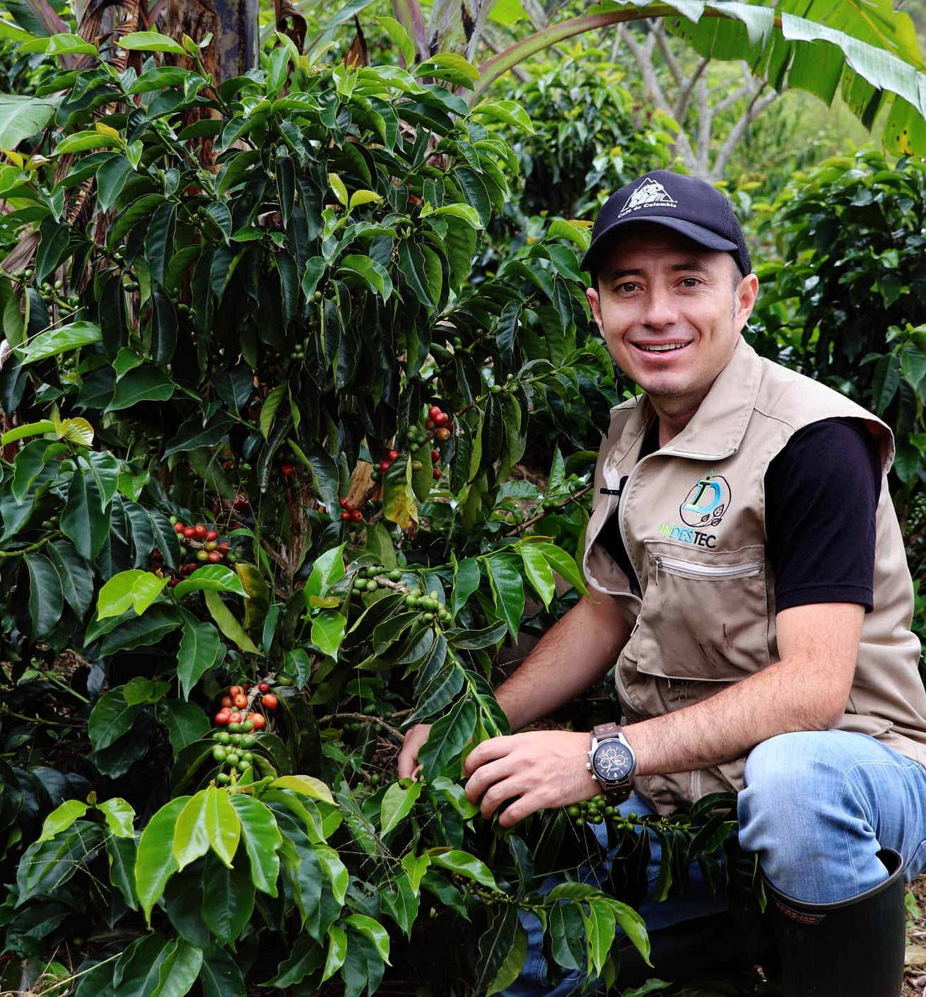 Unique processing of coffee using thermal shock title: 'Unique processing of coffee using thermal shock'