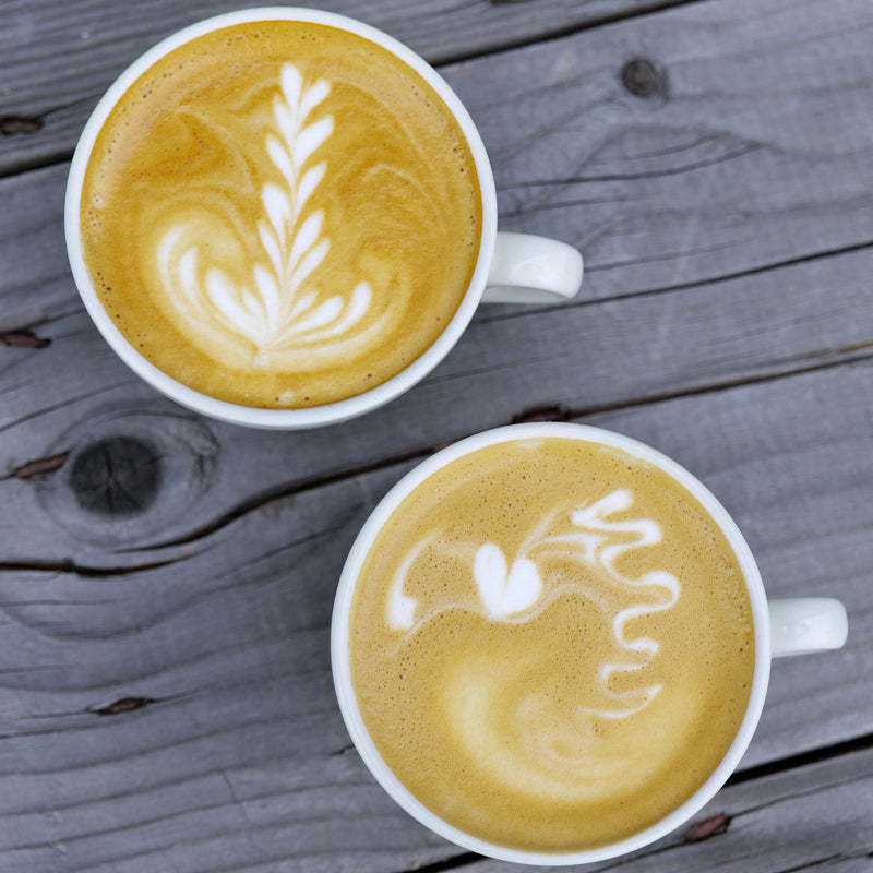 Coffee Source servis pro GASTRO