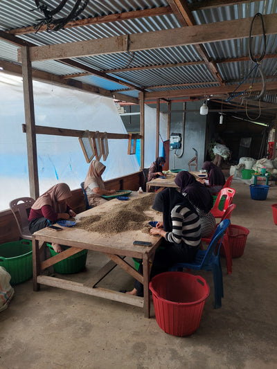 Indonesia - Gayo Avatara