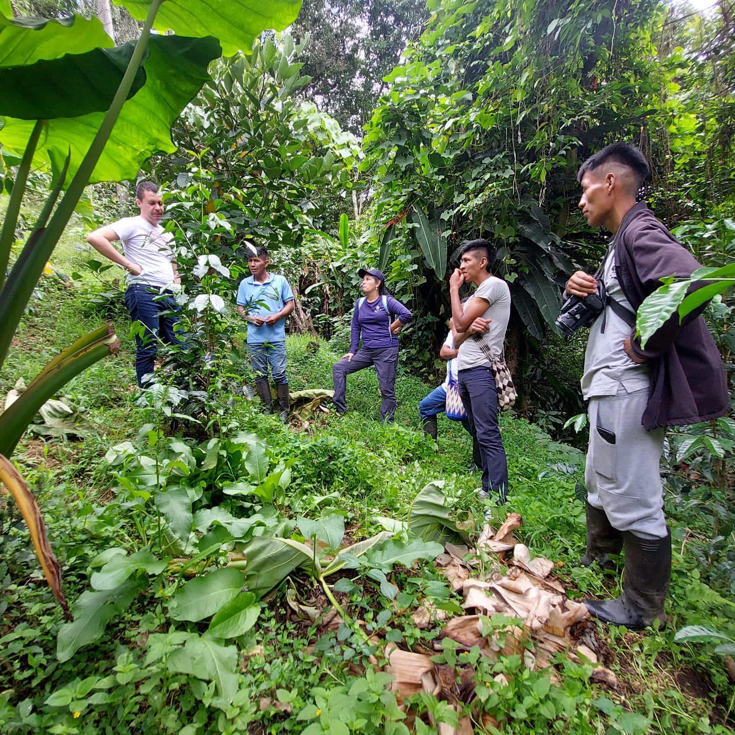 Výběrová káva Colombia Tolima Planadas - Coffee Source Výběrová káva Colombia Tolima Planadas - Coffee Source