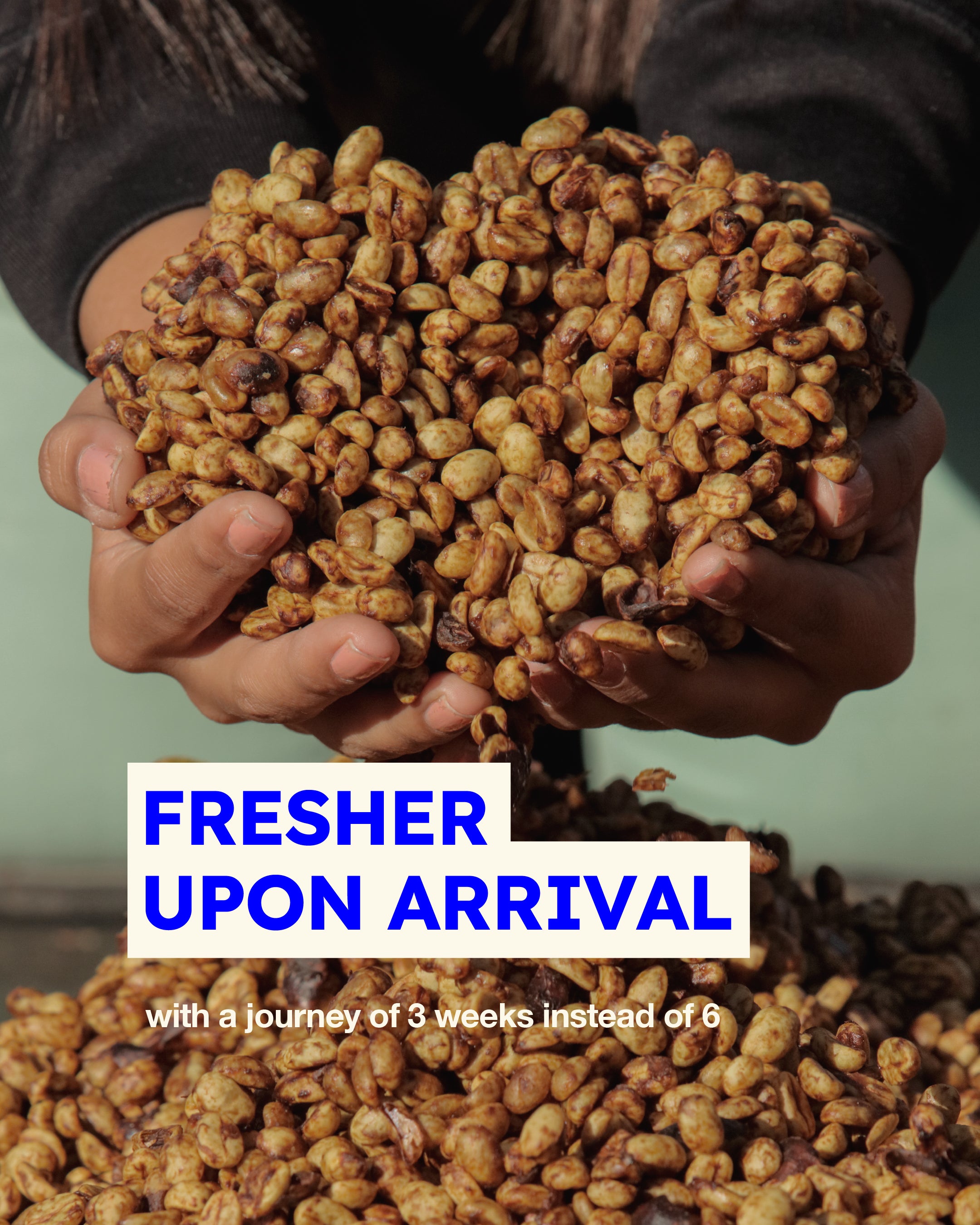 Plachetnicová Colombia Tolima Planadas Washed Espresso