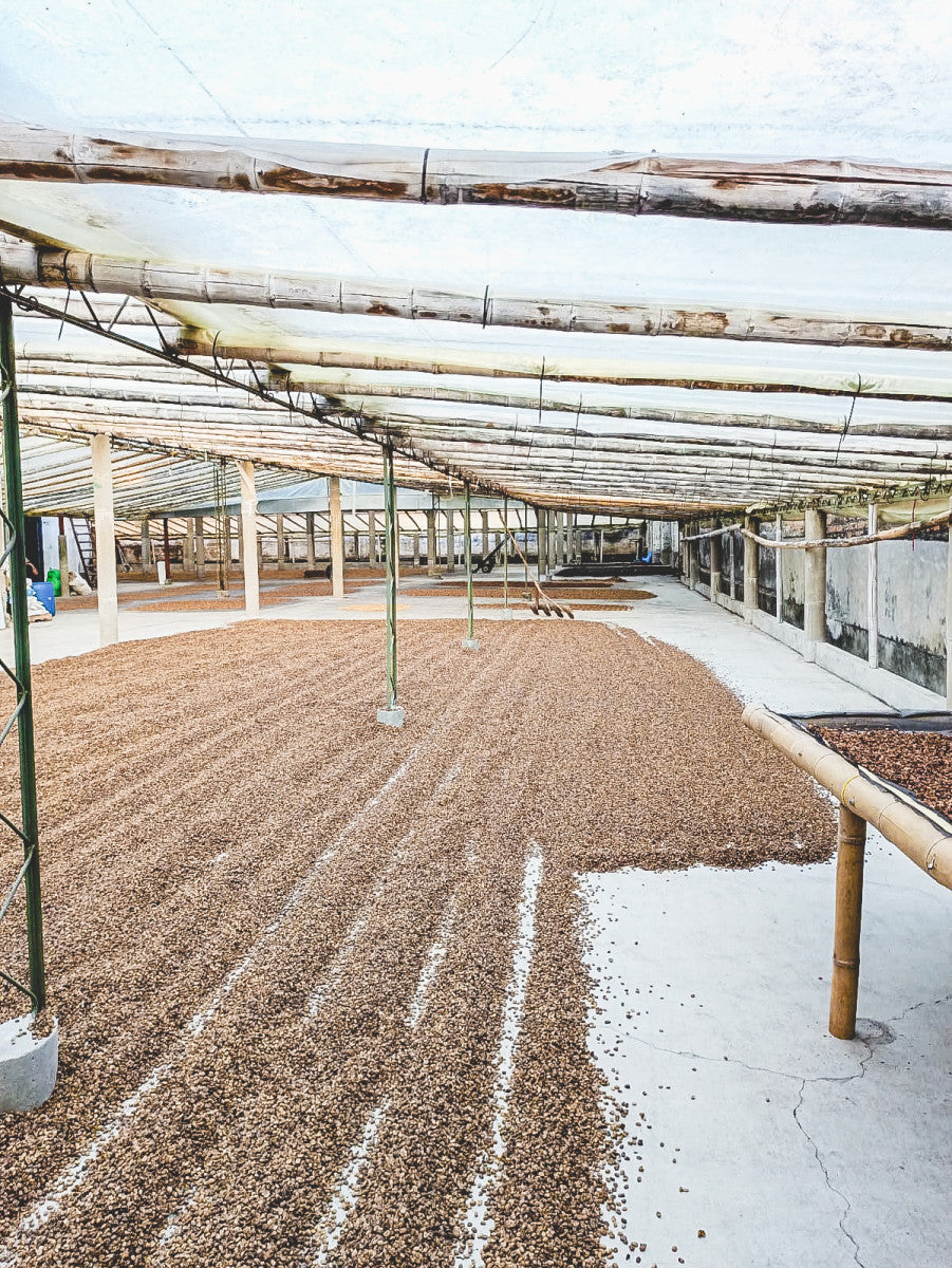 Colombia Jairo Arcila