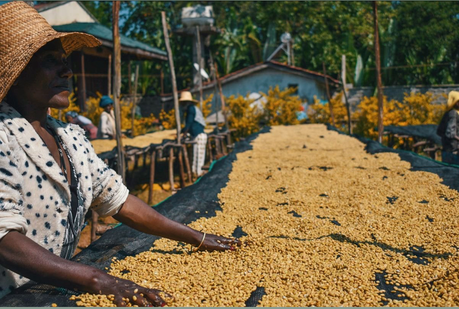 Ethiopia Shantawene Kebena