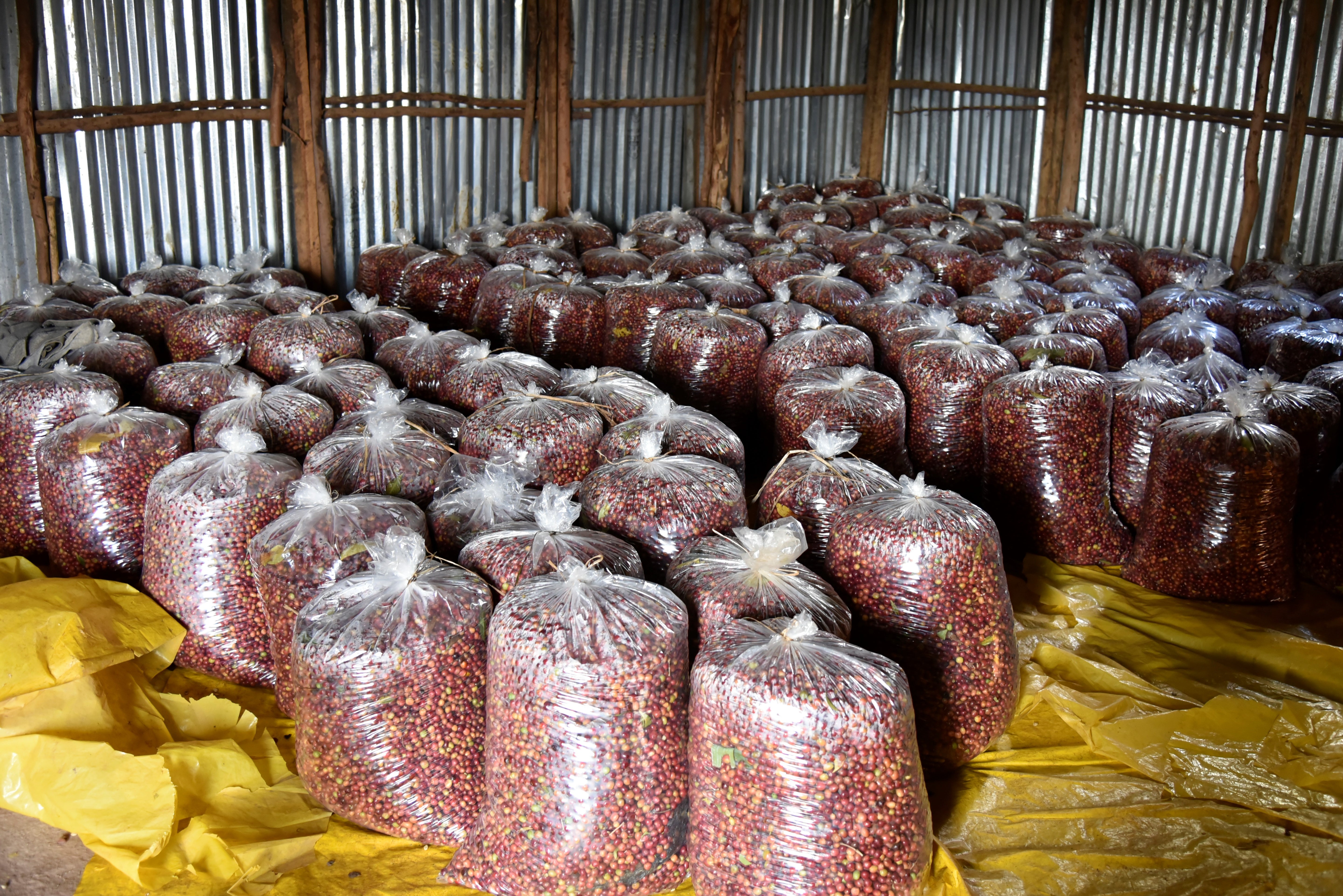 Ethiopia Bombe