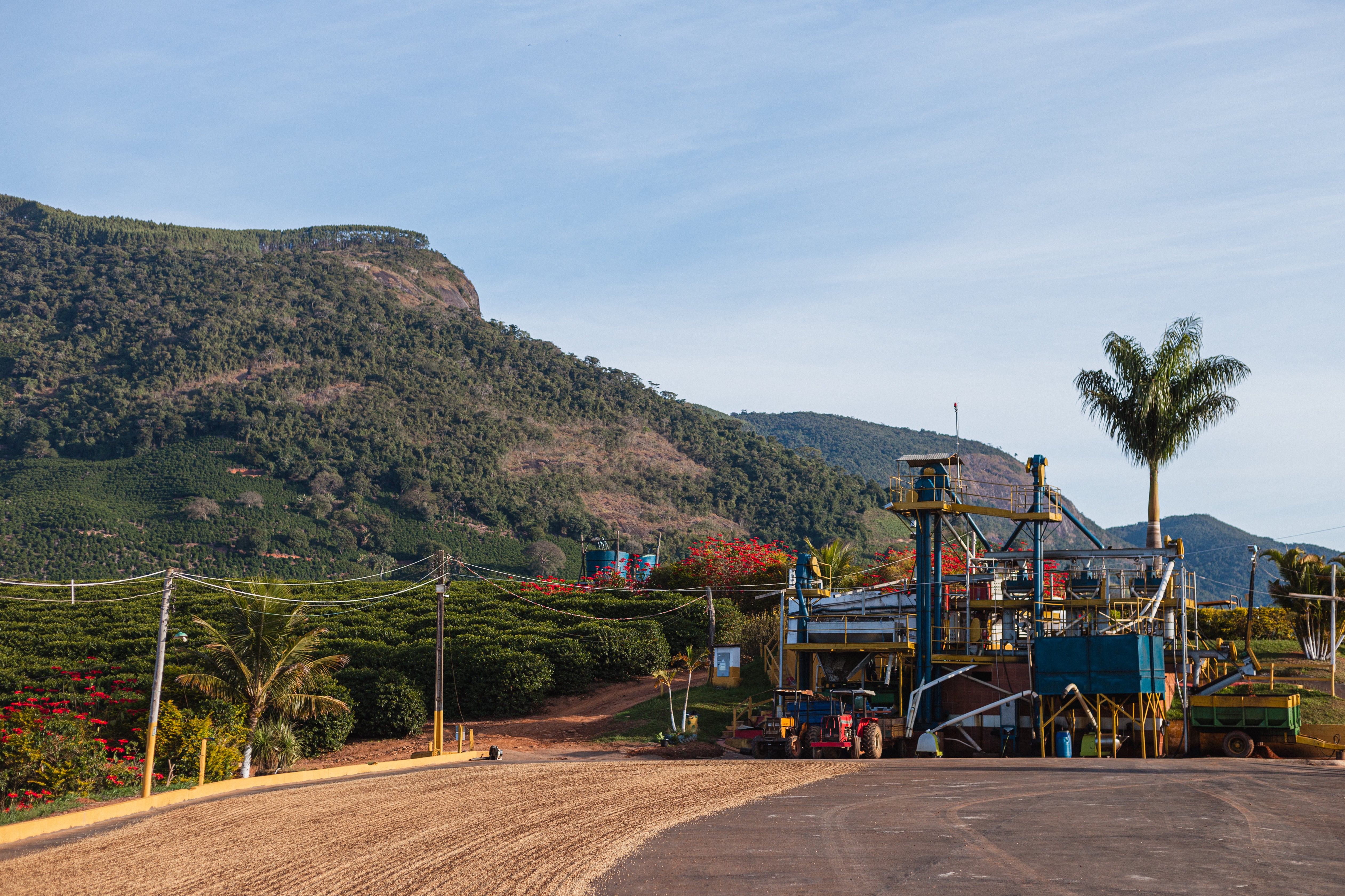 Brazil Fazenda Sertao