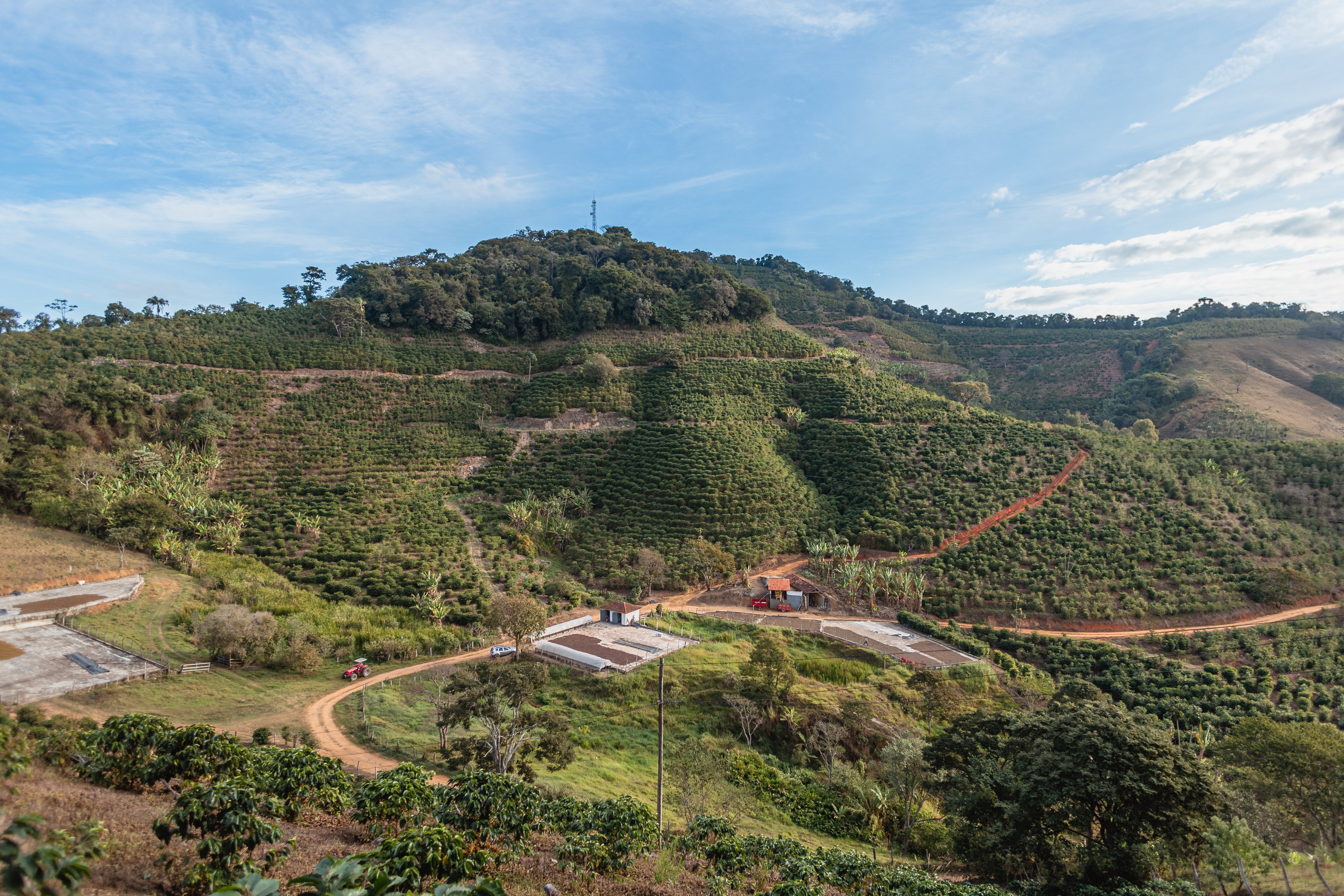Brazil Fazenda Sertao