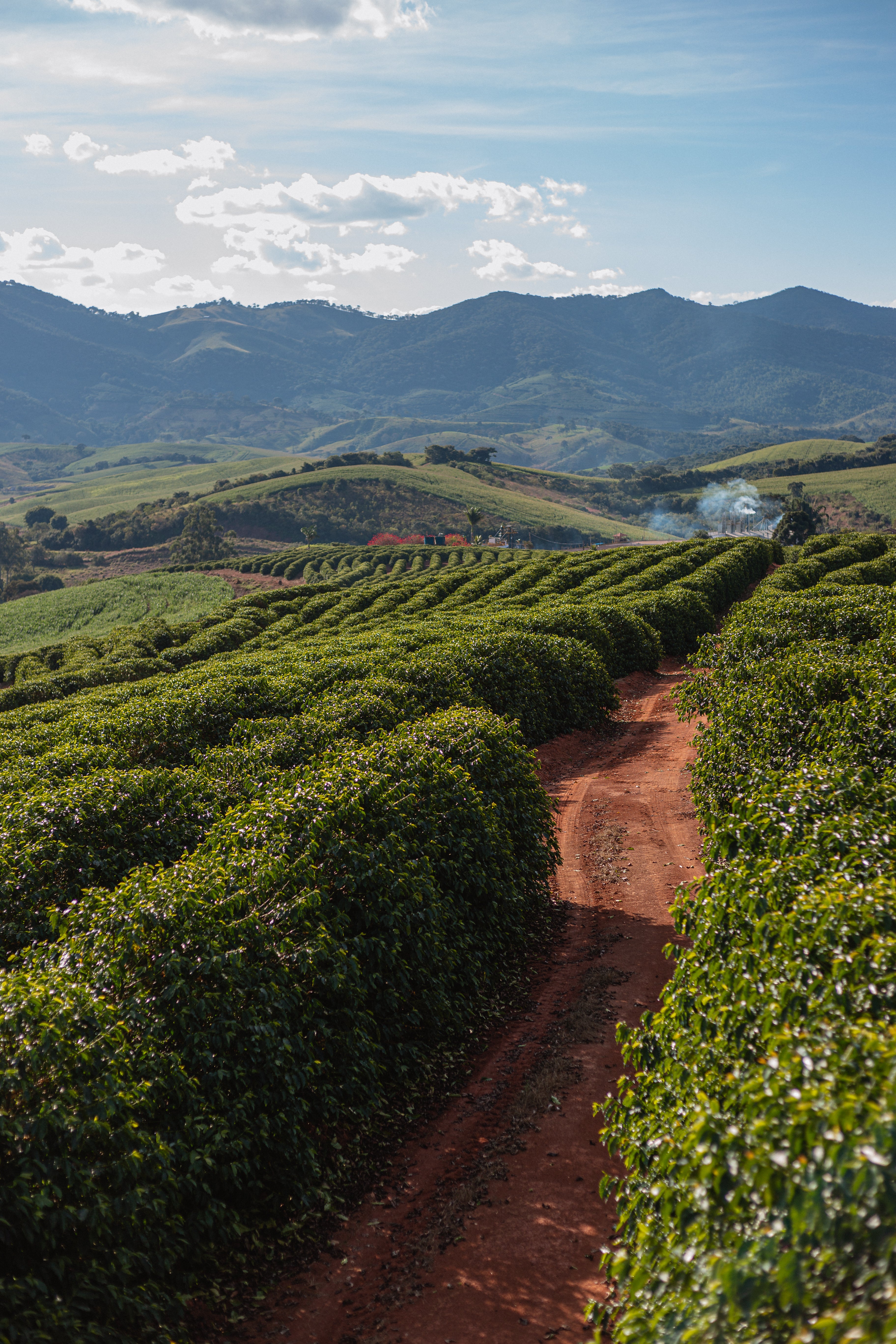 Brazil Fazenda Sertao