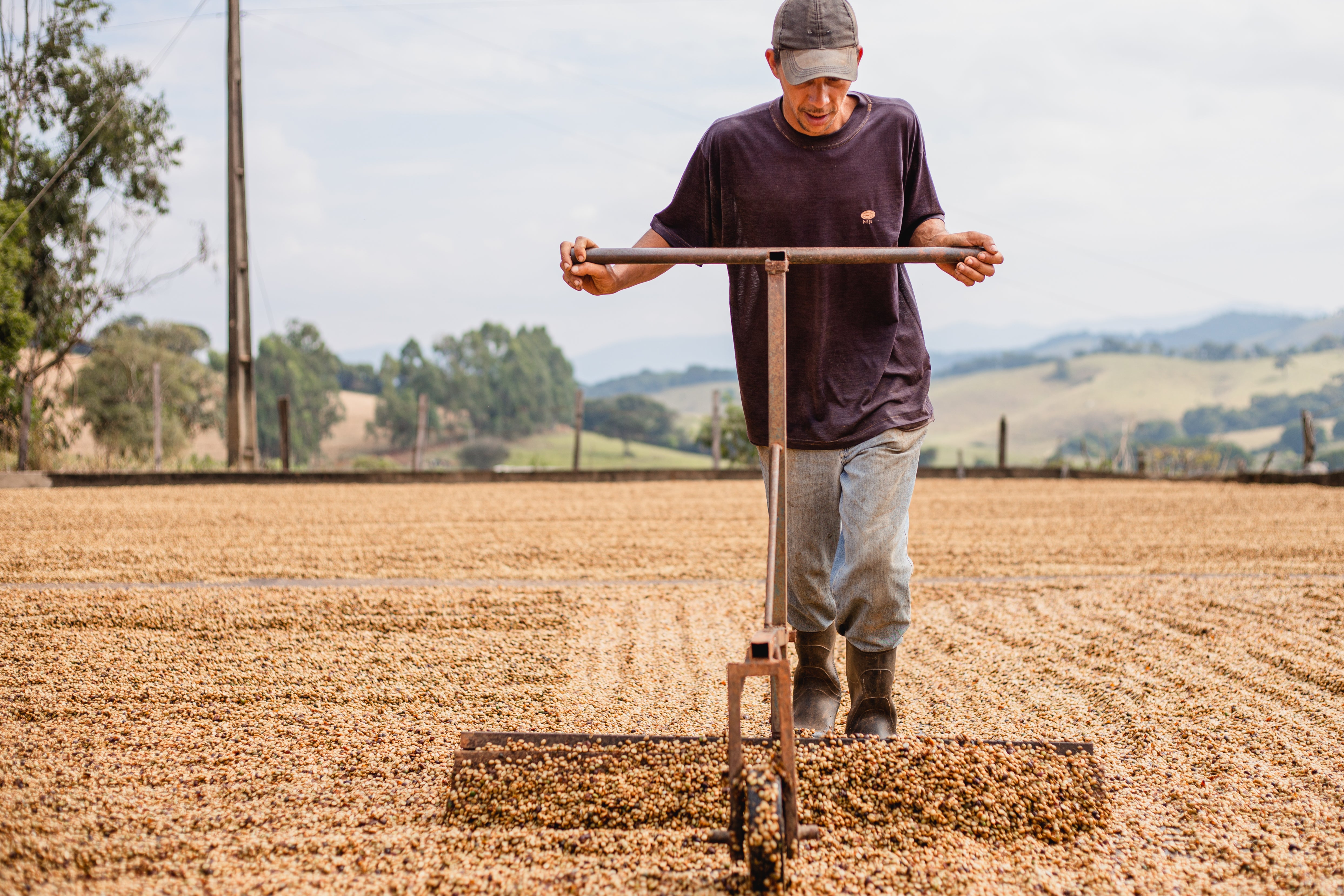 Brazil Fazenda Sertao