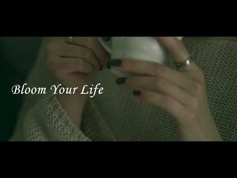 Hario Coffee Dripper V60 keramický bílý